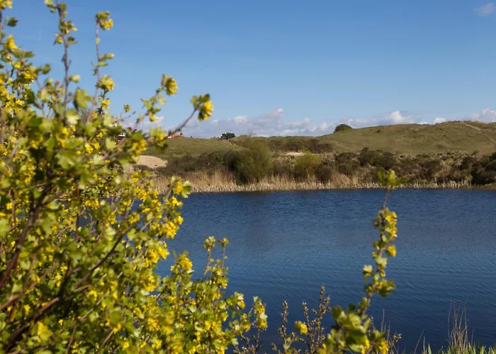 Appartamento Chapeau Apartment *